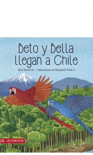 Beto y Bella llegan a Chile