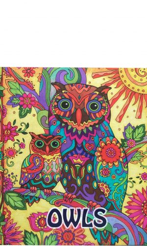 Libro para colorear – Owls