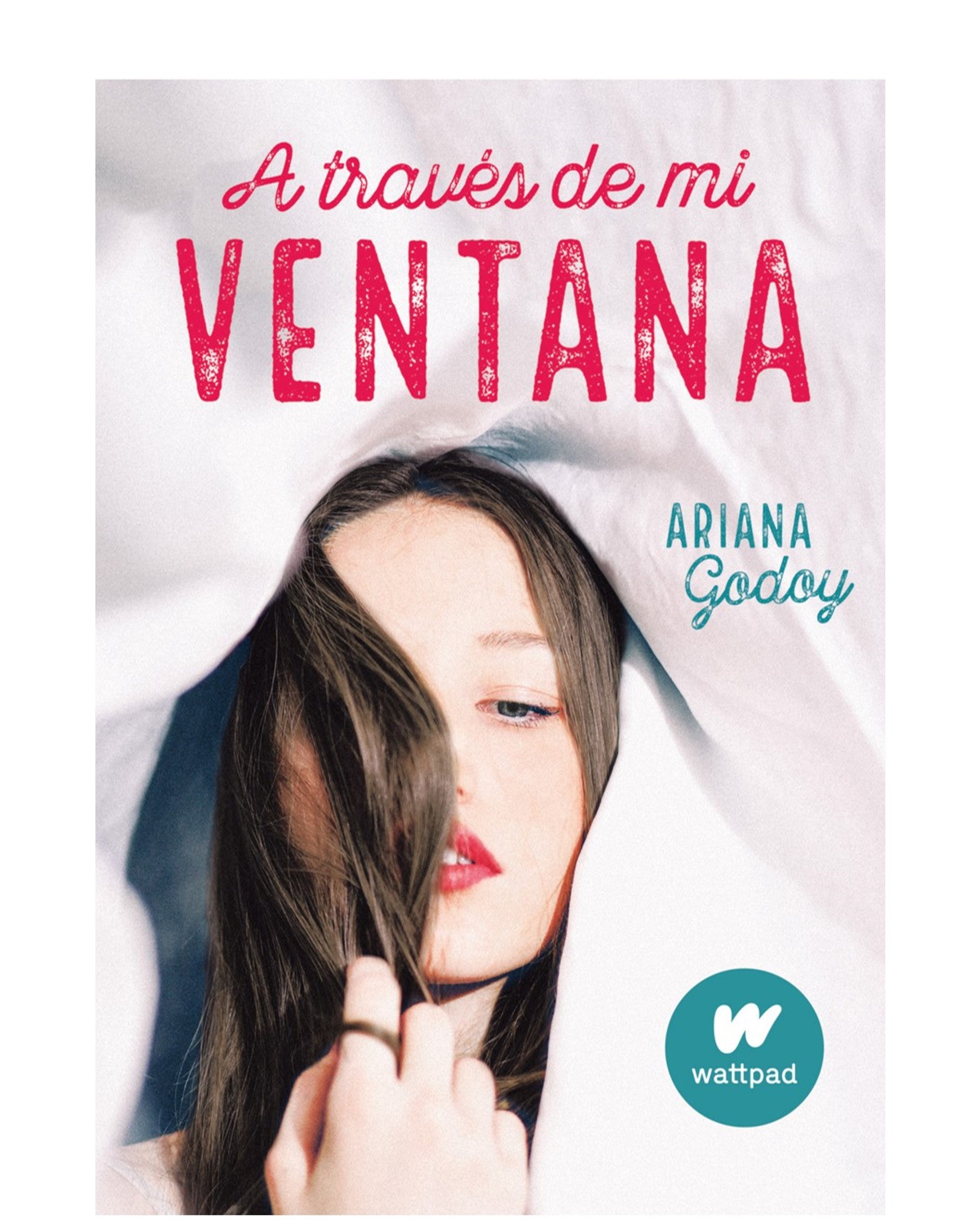 A TRAVÉS DE MI VENTANA