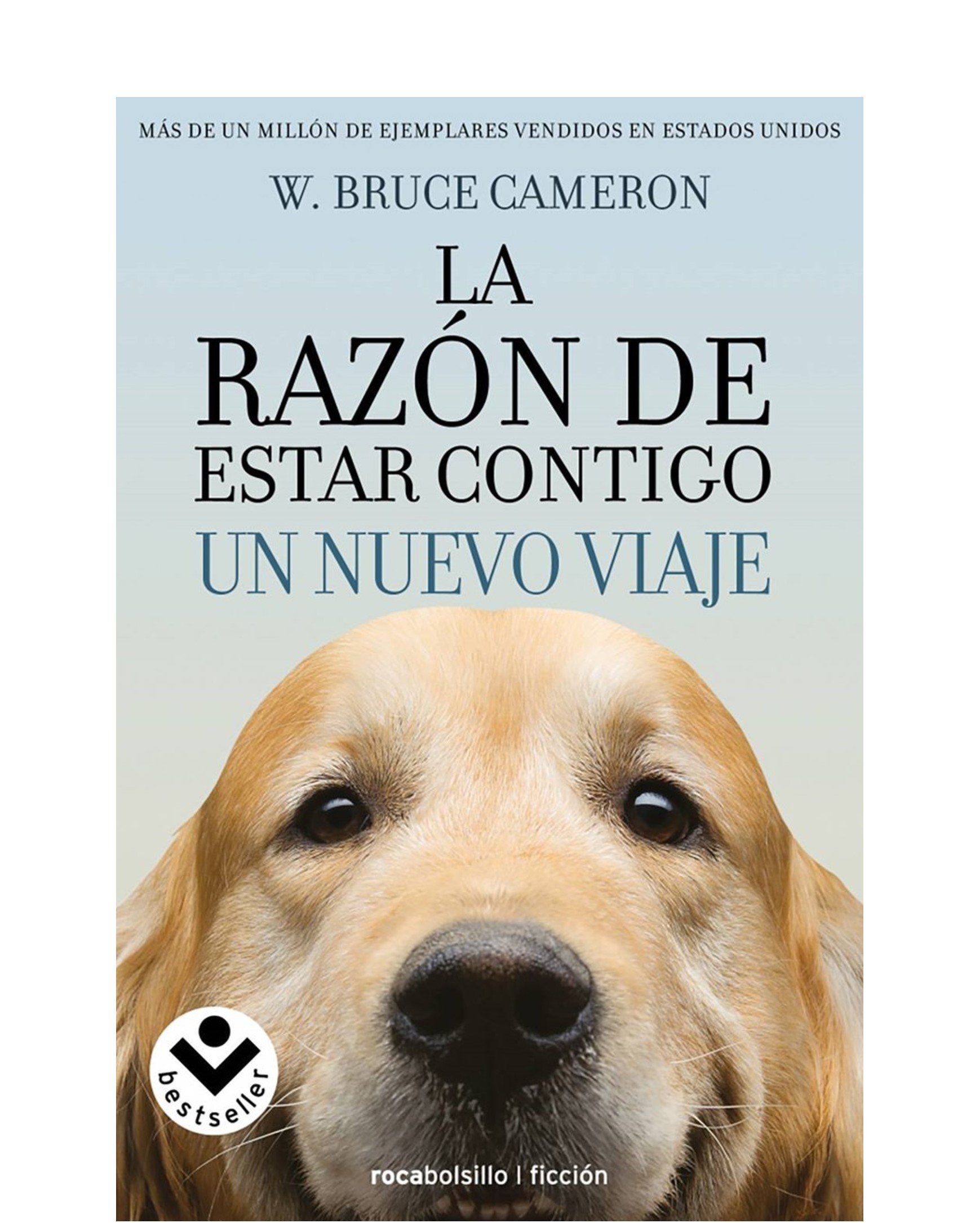 LA RAZON DE ESTAR CONTIGO UN NUEVO VIAJE -