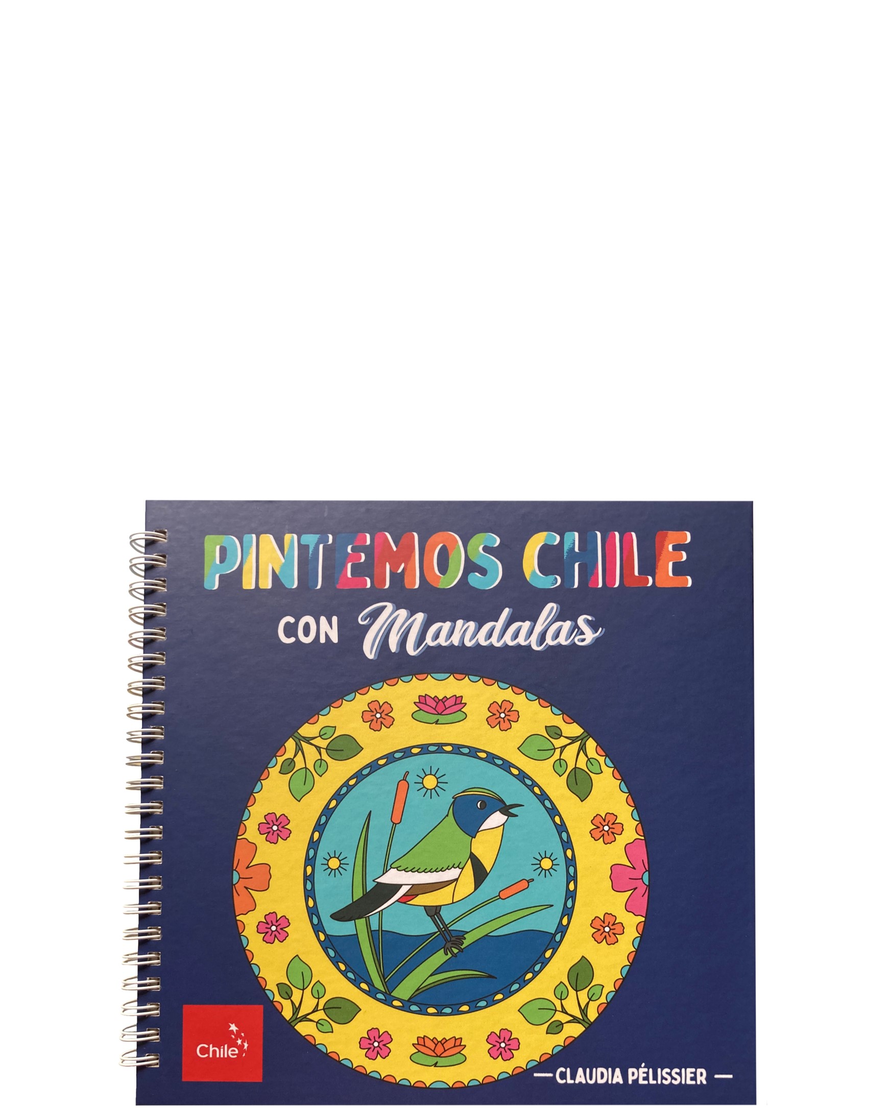 PINTEMOS CHILE CON MANDALAS TAPA BLANDA PINTEMOS CHILE CON MANDALAS TAPA BLANDAPINTEMOS CHILE CON MANDALAS TAPA DURA