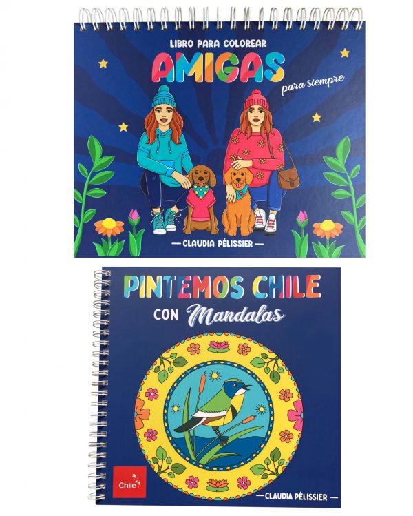 ACK AMIGAS + PINTEMOS CHILE CON MANDALAS
