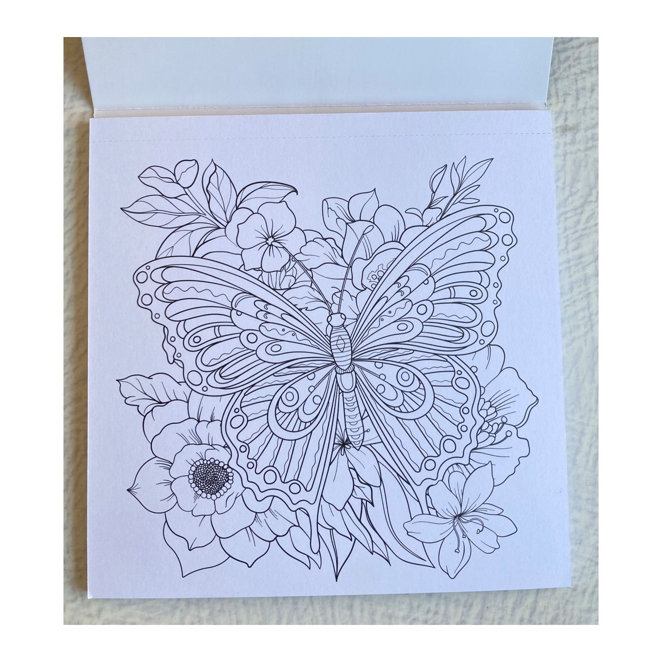 LA DANZA DE LAS MARIPOSAS 3