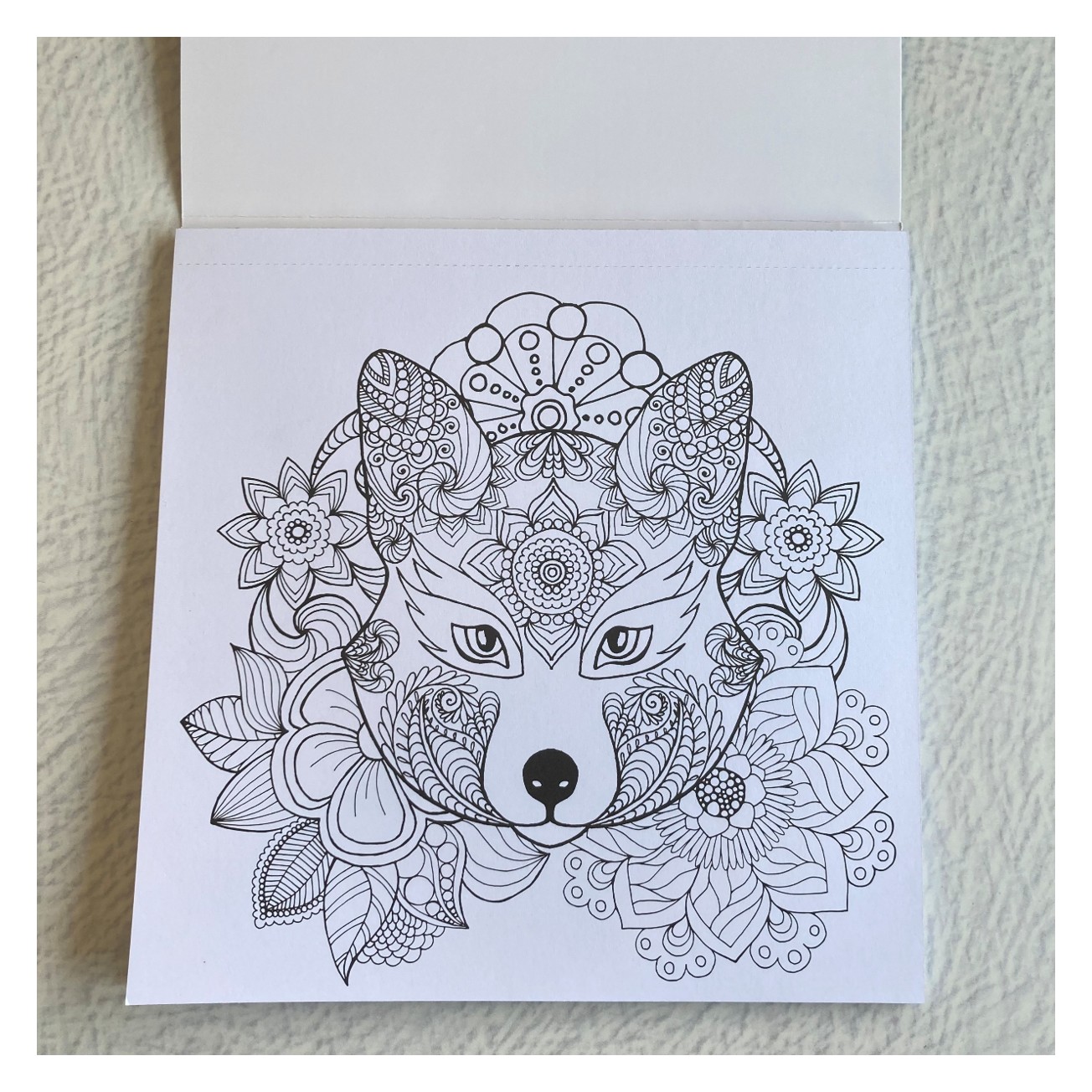 BLOCK PARA COLOREAR MUNDO ANIMAL 1