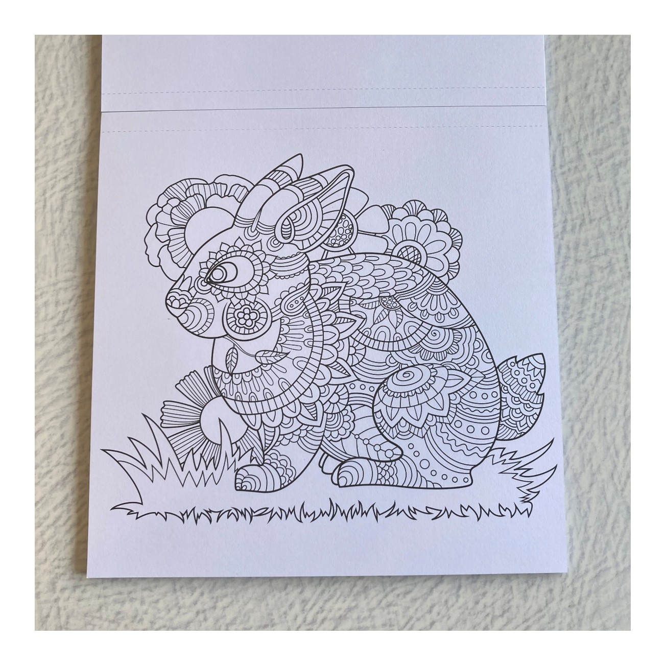 BLOCK PARA COLOREAR MUNDO ANIMAL 1