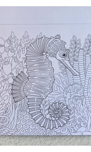 Block para colorear Mundo animal