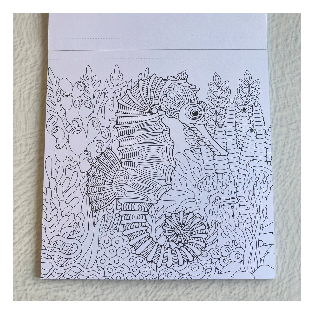 BLOCK PARA COLOREAR MUNDO ANIMAL 1