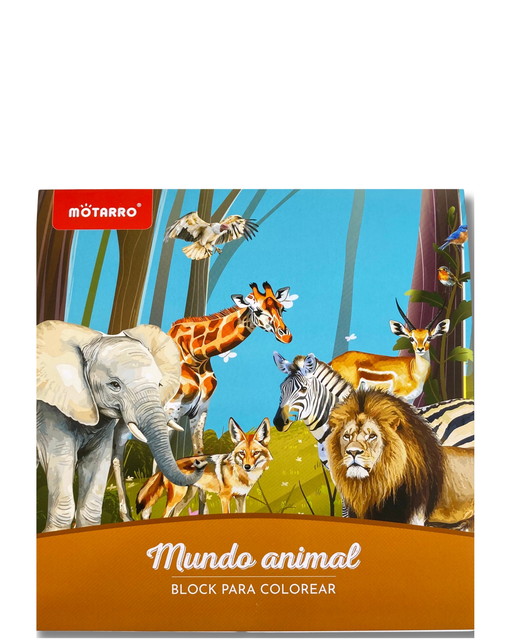 BLOCK PARA COLOREAR MUNDO ANIMAL